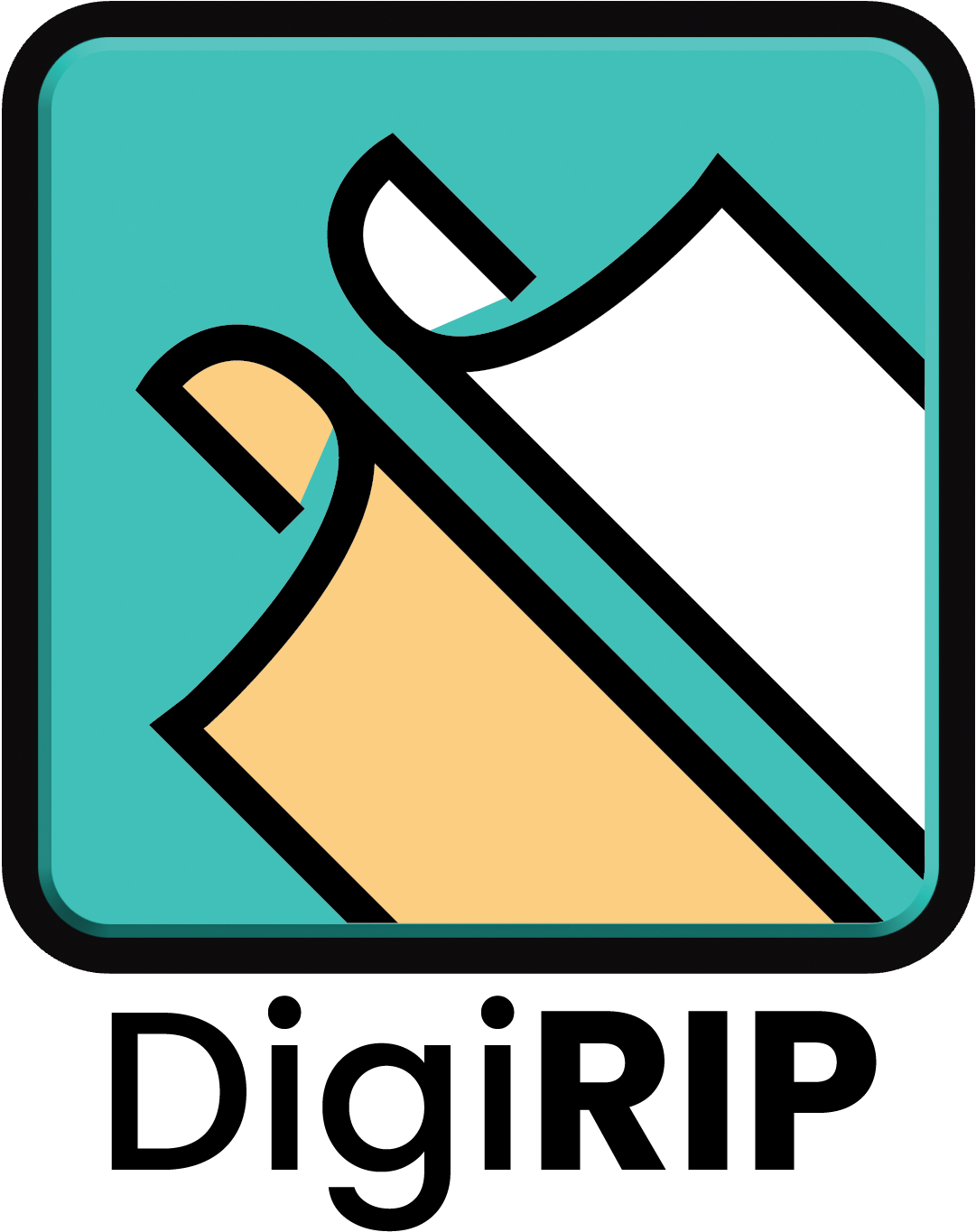 DigiRIP RIP Software – DTF Station