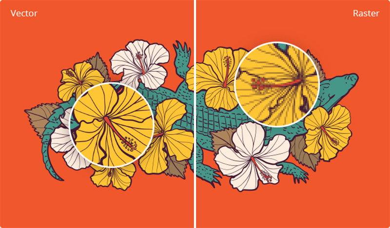 comparison of vector and raster graphics