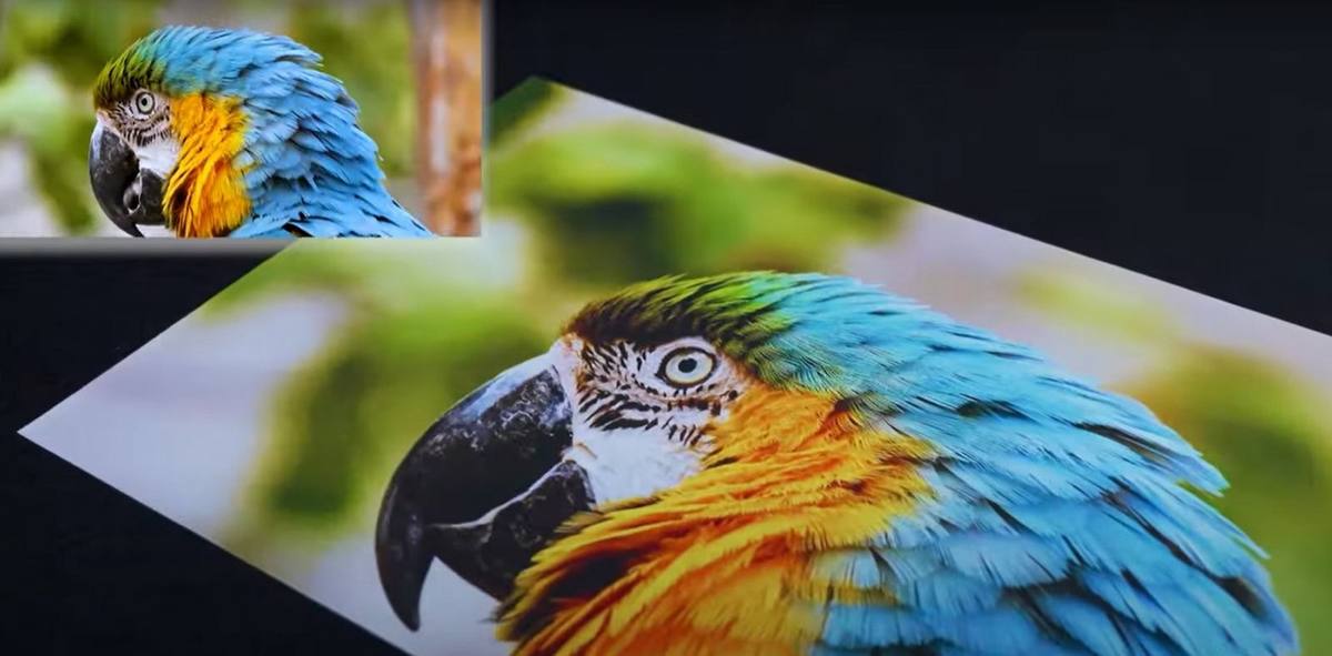 Photographic Details
