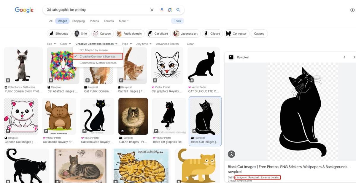 Google Image Search 1