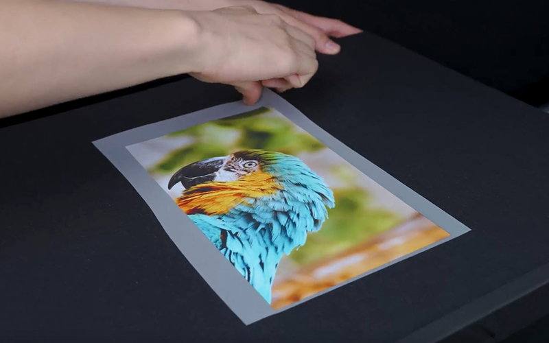 Engineered for Color Precision: How We Build DTF Solutions That Print True-to-Life Colors